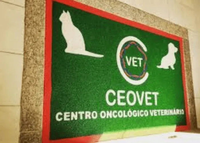 Tapete personalizado para estabelecimento pet em São Paulo